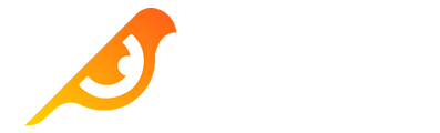 Birdeye.so